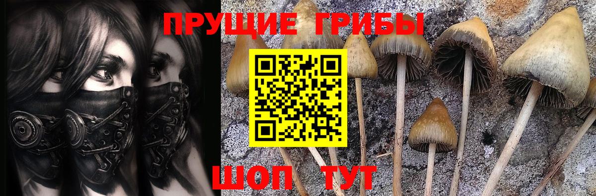 Галлюциногенные грибы Magic Shrooms  где купить наркоту  Дюртюли  Вход с VPN 