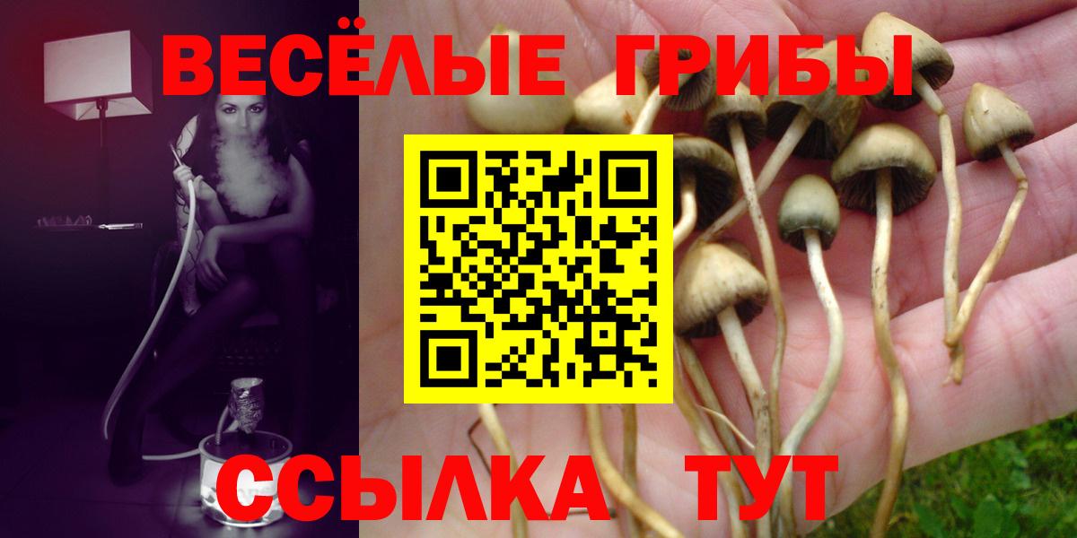 Галлюциногенные грибы Magic Shrooms Дюртюли